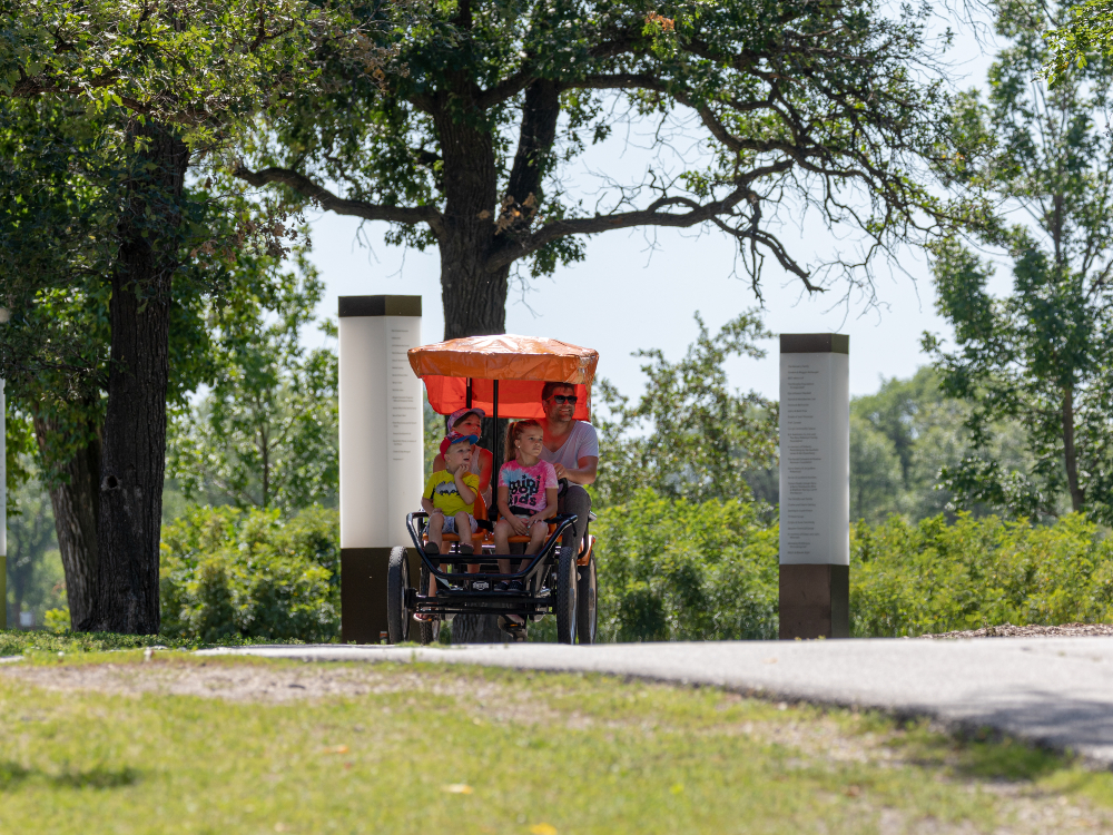 family of four riding a four seater bike at Assiniboine Park